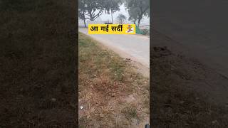 आ गई सर्दी viral shorts trendingshorts sardi winter youtubeshorts [upl. by Able]