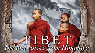 TIBET The last voices from Himalaya  Part 2 Español  subEng [upl. by Clarinda]