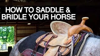 HOW TO TACK UP YOUR HORSE WESTERN [upl. by Nomra]