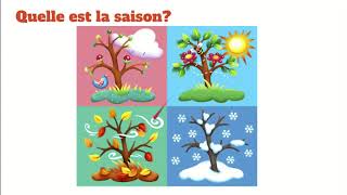 Les 4 Saisons  The 4 Seasons in French  French Kinder TV [upl. by Nirro851]