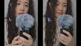 ASMR Twin Ear Blowing  Fluffy Mic Touching Tascam No Talking 1Hr [upl. by Rosecan]