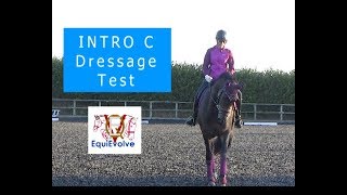 Learn The Intro C Dressage Test 2016 [upl. by Saxet771]