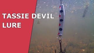 FISHING  Underwater Video TASSIE DEVIL Lure Action [upl. by Petrick]