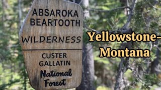 Hiking in Yellowstone— Grizzly Bear Country [upl. by Mattheus]