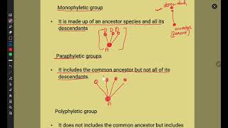 Evolution  Phylogenetic trees  monophyletic group  paraphyletic group  polyphyletic group [upl. by Nnylg]