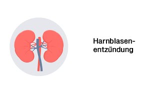 Harnblasenentzündung  Zystitis Erkrankungen der Harnwege [upl. by Carly]