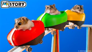 Hamsters on the Worlds Largest Roller Coaster in the Amusement Park Maze 🐹 Homura Ham Pets [upl. by Haimrej]