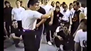 William Cheung Traditional Wing Chun Kung Fu in New York [upl. by Warram]