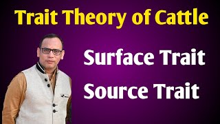 Trait Theory of Cattle l Cattle Personality Theory l Surface Trait l Source Trait by Dr Vivek [upl. by Eatnoid]