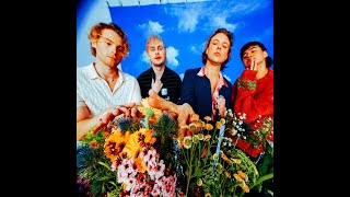 5SOS5 I Full Album I 5SOS [upl. by Goldarina]