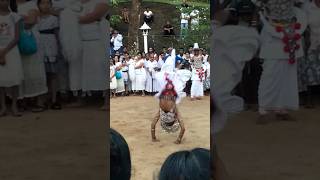 Amazing traditional dance Sri Lanka🥺dance shorts [upl. by Gow976]