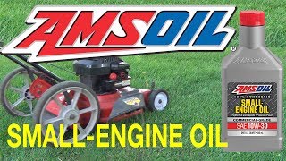 AMSOIL Synthetic Small Engine Oil 10W30 amp Fuel Stabilizer [upl. by Lithea]