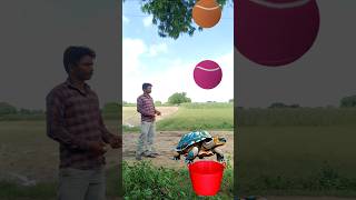 Tennis ball Kachhua Bakri dog Medak amp VFX funny song bestvfx vfxshowreel video vfxgrace [upl. by Otrebtuc]