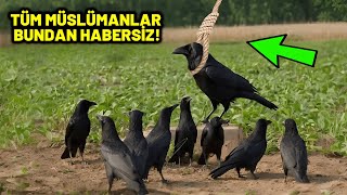 Kargalar Arasında Zina Yapmanın Cezasının Ne Olduğuna İnanamayacaksınız Sübhanallah [upl. by Bardo593]