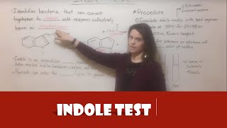 Indole Test [upl. by Nilyahs]