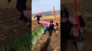 Amazing Farming Tools for Rural Farmer Essential Agricultural Tool 👍👍 shorts satisfying [upl. by Aleras682]