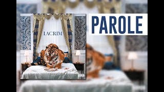 Lacrim  RS6  Parole Video  Nouvel Album 2019 [upl. by Laniger]