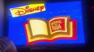 Opening to Winnie The Pooh And The Blustery Day 1994 VHS Version 2 [upl. by Nodroj972]