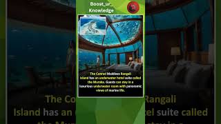 Underwater Hotel Maldives Fact [upl. by Eniarol]