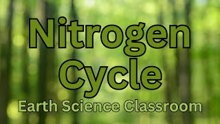 Detailing The Nitrogen Cycle [upl. by Wendelin851]