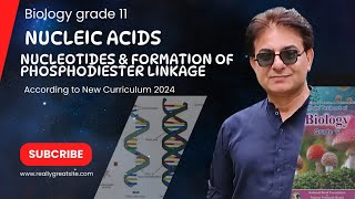 Nucleic Acid  Structure of Nucleotides  Phosphodiester Linkage  Bio Grade 11 2024  Federal board [upl. by Kallista]