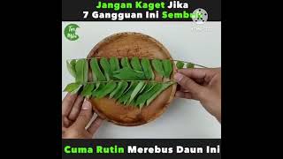 kumpulan resep Obat Herbal [upl. by Gmur]