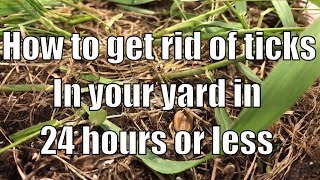 How to get rid of ticks in your yard in 24 hours or less [upl. by Lewej]