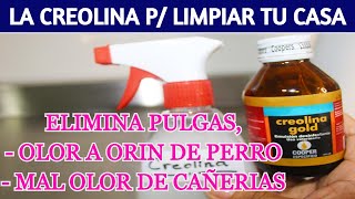 🌺 USOS DE LA CREOLINA para desinfectar y limpiar tu casa [upl. by Nidla]