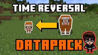 Time Reversal Datapack Showcase  Minecraft 1171  By SilicatYT [upl. by Sieber]