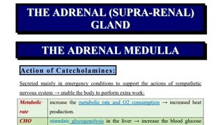 09CatecholaminesAldosteroneCortisol [upl. by Yttisahc]