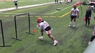 Joe Mixon Bengals RBs work pad level drills at minicamp with Justin Hill [upl. by Crespo]