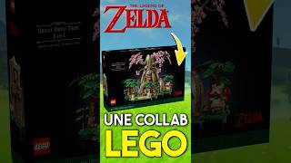 Un SET LEGO OFFICIEL avec The Legend Of Zelda  Arbre Mojo [upl. by Benny]