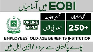 New Jobs in Employees OldAge Benefits Institution  EOBI All Jobs  how to apply through Lums [upl. by Modestia]