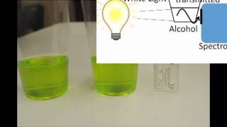 Chlorophyll Fluorescence Lab [upl. by Idonna489]