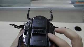 Infrared Remote Control 4CH Beetle Toy  DX [upl. by Cinderella]