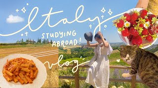 i moved to ITALY for study abroadheres how it went [upl. by Assylem]