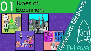 Types of Experiment  Research Methods  A Level Psychology [upl. by Alyag]