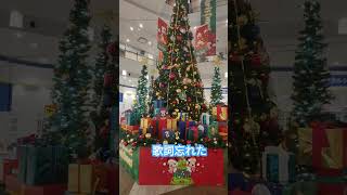 クリスマス クリスマスソング クリスマスツリー 歌ってみた [upl. by Ping581]