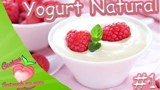 Yogurt casero Natural Rico suave y Cremoso  Paso a Paso [upl. by Anilahs]