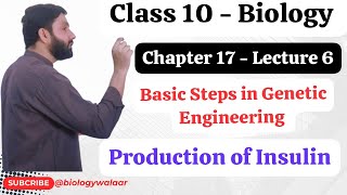 Class 10  Biology  Chapter 17  Lecture 6  Basic Steps in Genetic Engineering [upl. by Yann]