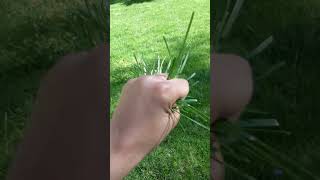 Touching Grass Part 3 [upl. by Asta]