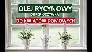 OLEJ RYCYNOWY  SUPER ODŻYWKA DO KWIATÓW DOMOWYCH [upl. by Aun]