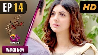 Pakistani Drama Kyunke Ishq Baraye Farokht Nahi  EP 14  Aplus  Junaid Khan Moomal  C3N1 [upl. by Carolynn]