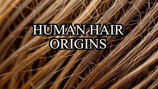 Human Hair Began in This Way The Unexpected Origin Story [upl. by Cinderella955]