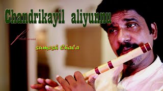 Chandrikayil aliyunnu chandrakanthamചന്ദ്രികയിൽഅലിയുന്നുflute cover bysumesh chala flute music [upl. by Annoled]