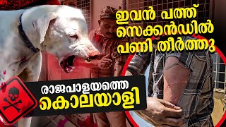 രക്തദാഹിയായ നായ Rajapalayam dog challange Leash Talks [upl. by Ydolem]