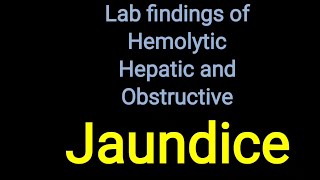 Laboratory finding of Jaundice [upl. by Shelly]