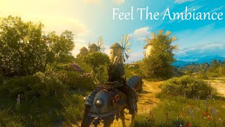 Very Relaxing Ambiances of Toussaint  Witcher 3 [upl. by Ylremik730]