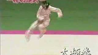 Wushu Japan Demonstration [upl. by Rossie]