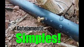 Sistema de gotejamento eficiente simples e barato [upl. by Ayanet]